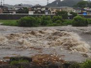 雨